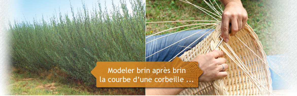 Modeler brin après brin la courbe d'une corbeille